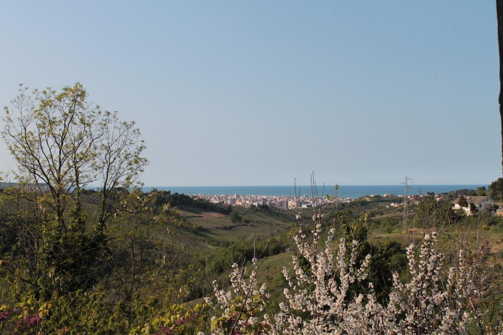 B&B Azzurra Pescara Eksteriør billede